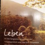 Für die Zukunft Wünsche